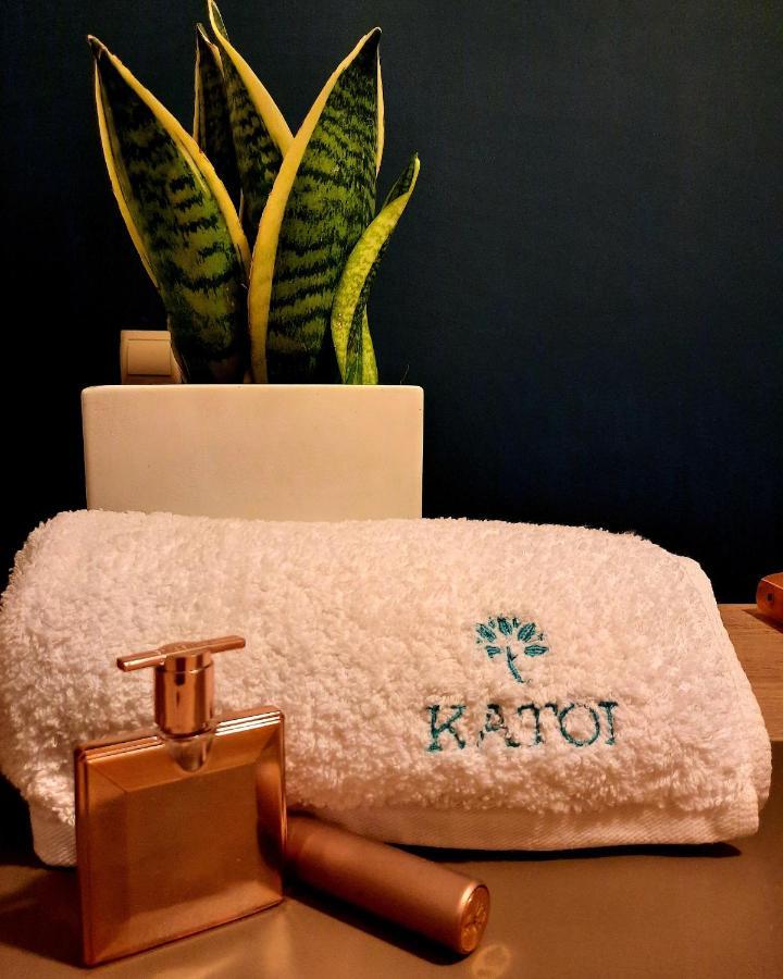 Katoi Traditional House Exo Khora Екстер'єр фото